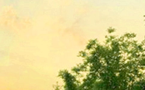 ��(j��ng)���簲���Z��ȫ�����x175�䣩