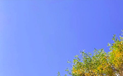 �����á�2023���ܰ���簲���Z�Z䛼���31��