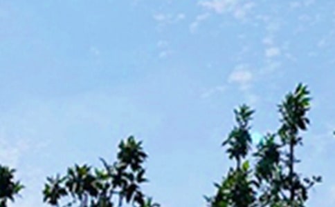 ���õ�ÿ��һ���簲���Z�Z䛺ϼ�53�l