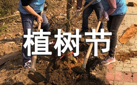 幼兒園植樹(shù)節(jié)的演講稿(通用12篇)