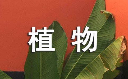 �P(gu��n)�ڄ����cֲ����i�Z