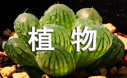 ֲ���i�Z����