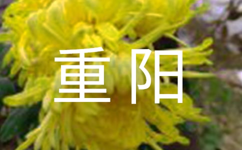 �ž�������ϐ��׸���110��