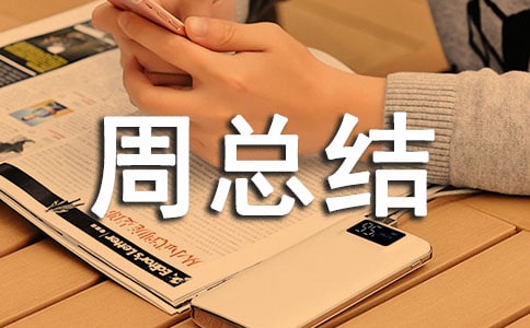 一周總結(jié)作文
