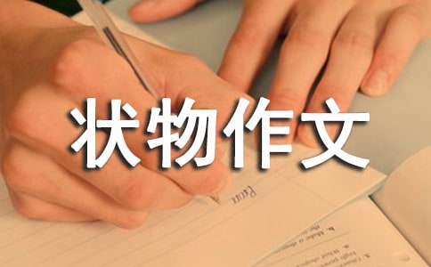 ���꼉(j��)��������