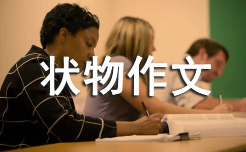 ���꼉�������ģ��ҵ��Đ�֮��