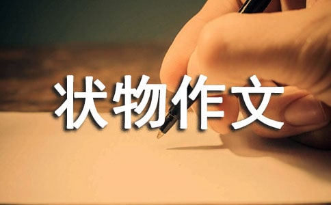 ���꼉��������550��