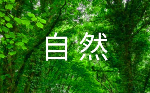 �P(gu��n)�ڴ���Ȼ��'�i�Z