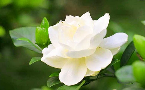 �d�ӻ�
