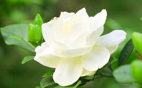 �d�ӻ��I
