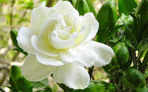 �d�ӻ��_
