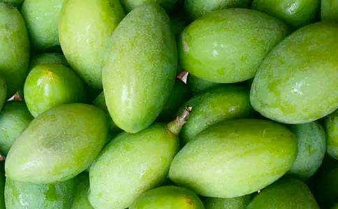 �ϙ�֦�ͺ�ƽ����`���