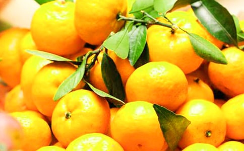 我家的橘子樹(shù)