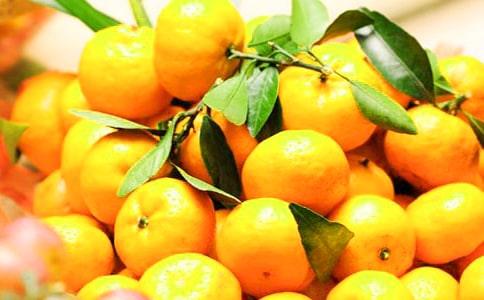 ժ�������꼉�Ĕ�������