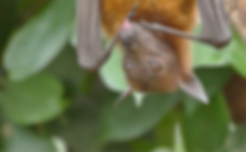 ҹ�L�c����