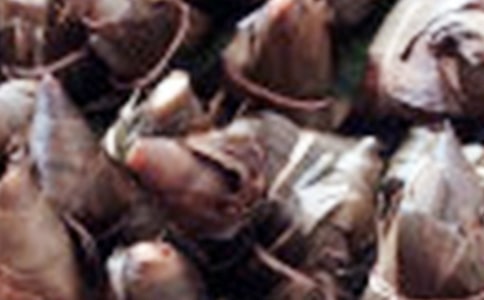 �W(xu��)�����ӵ�����600��ӛ����