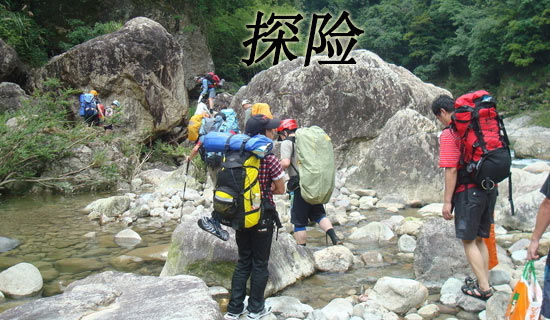 三年級作文:我和海豚的探險(xiǎn)故事